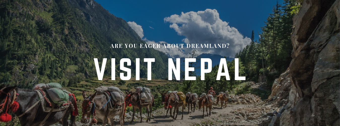 Are you eager about Dreamland? Visit Nepal it’s fully safe now.