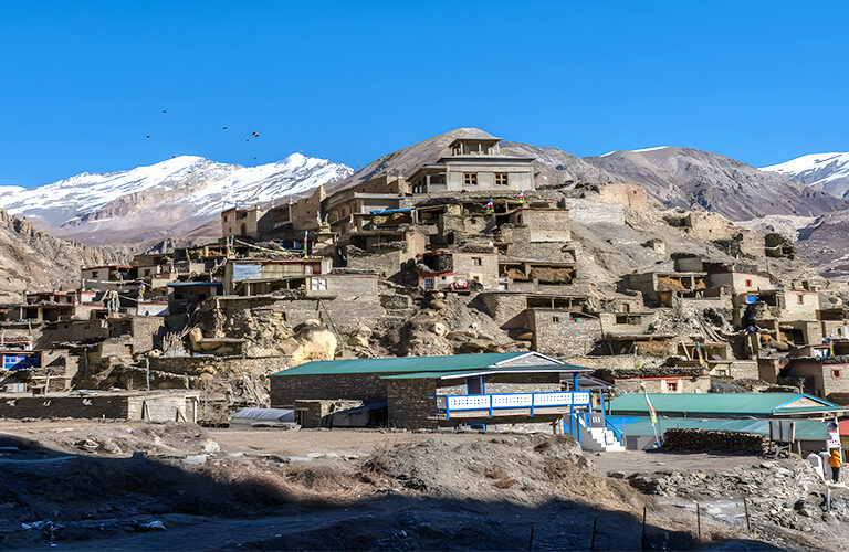 narphu featured