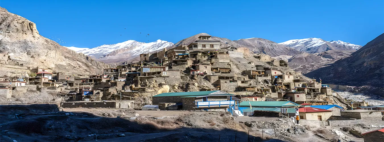 narphu featured