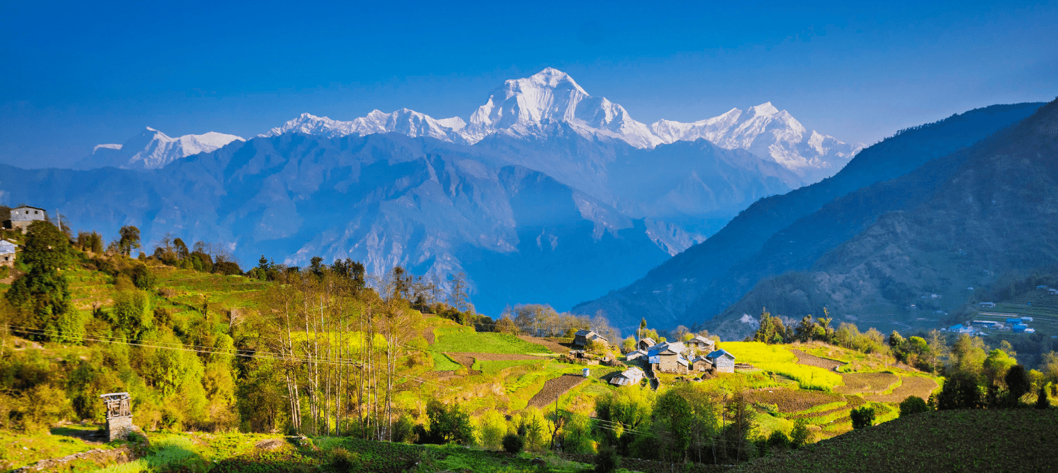 nepal tour & trekking service