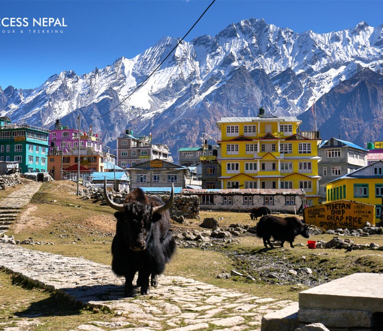 Langtang Valley Trek