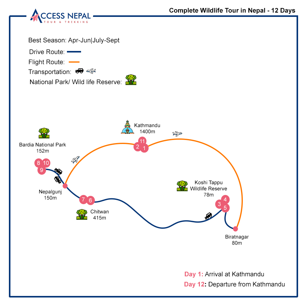 complete wildlife tour 12 days