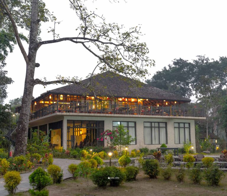 Chitwan Jungle Safari