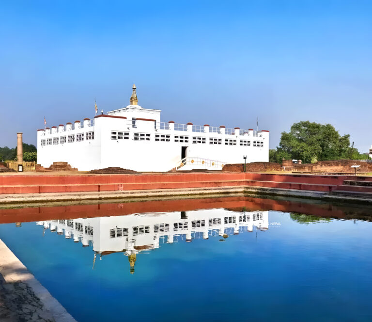 Nepal Wildlife Safari Tour with Lumbini Visit