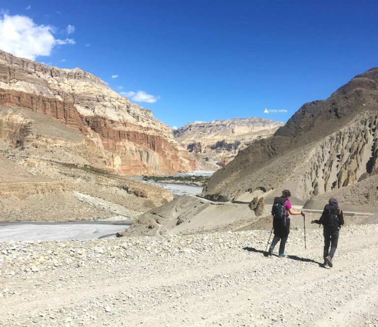 short upper mustang 4