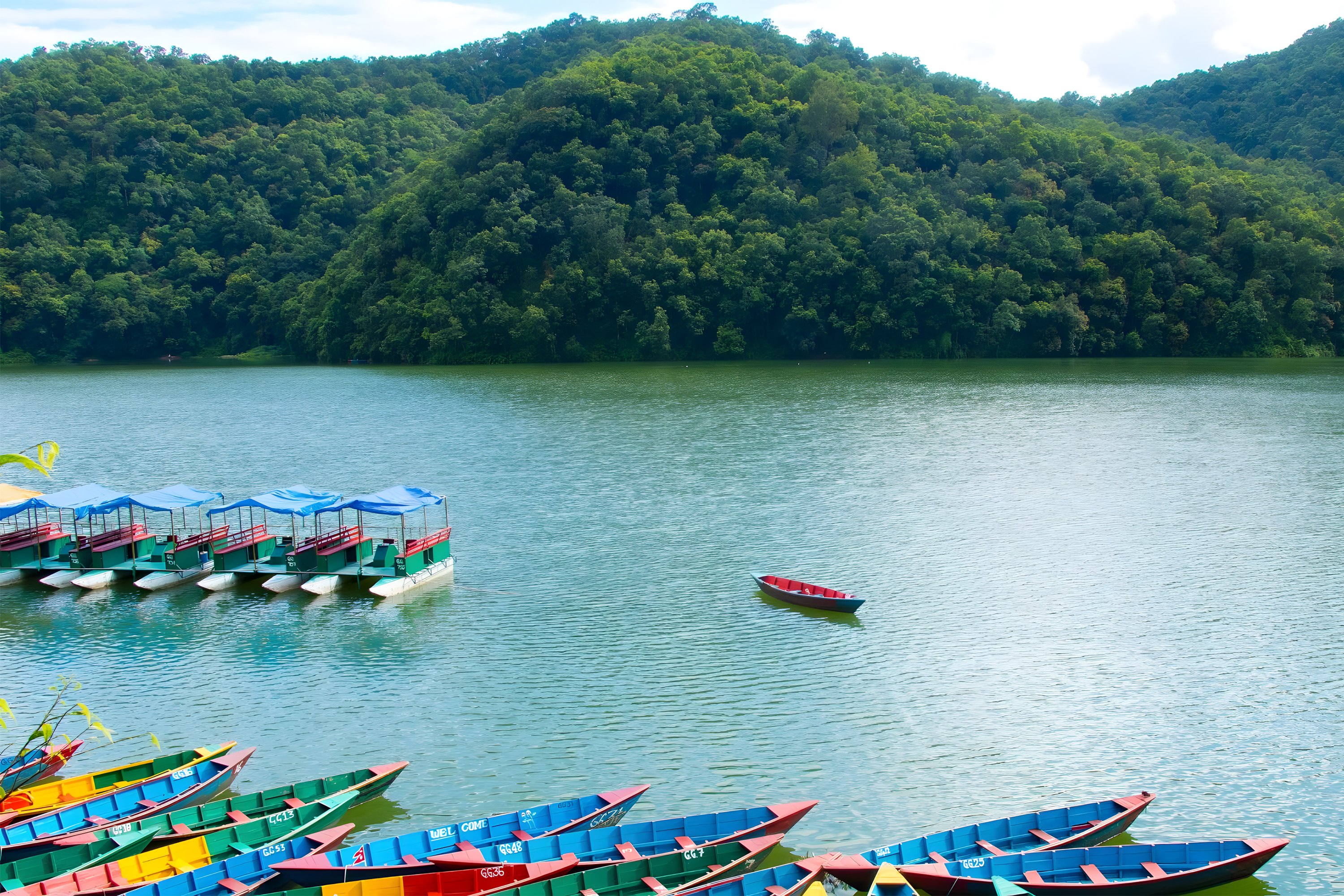 phewa tal