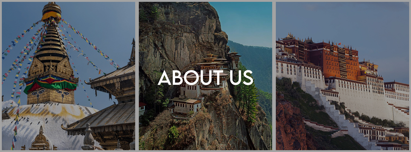 About Us