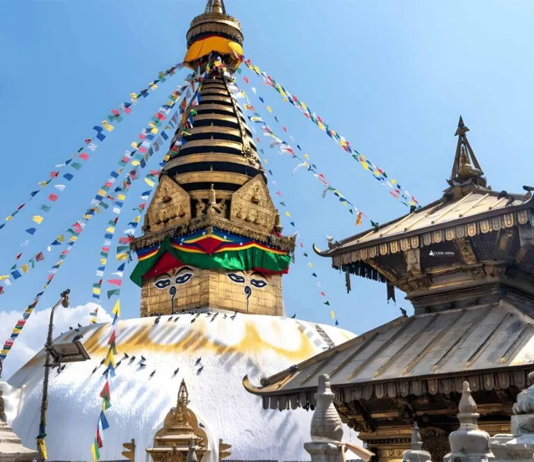 Kathmandu Pokhara Chitwan Tour