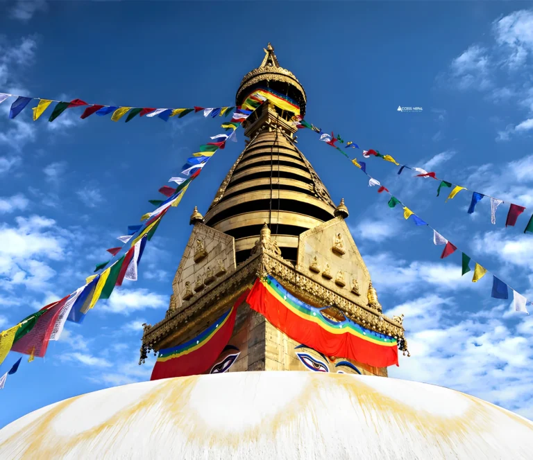 Kathmandu Pokhara Chitwan Tour