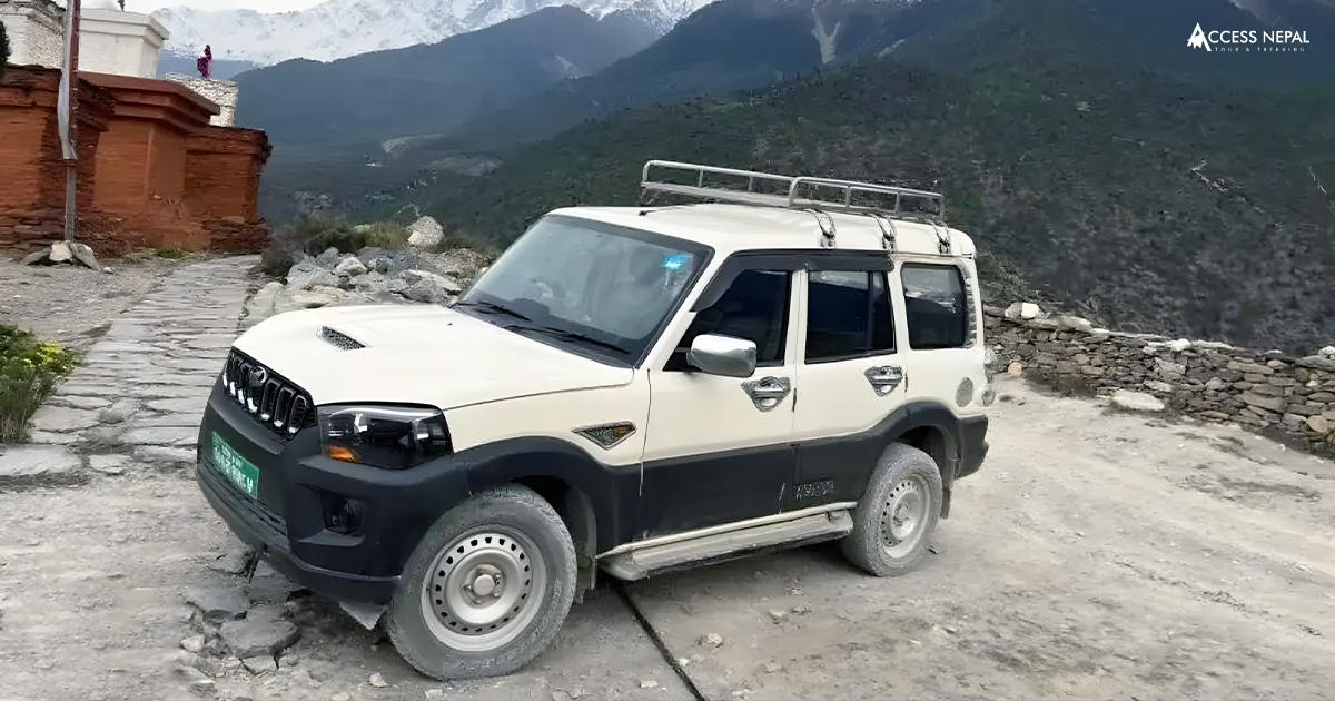 vehicle