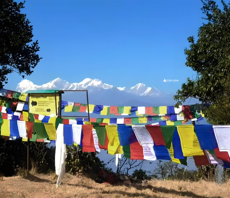 Phulchwoki featured