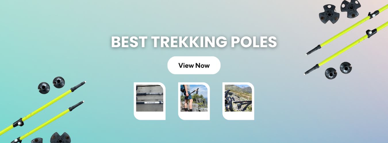 Best Trekking Poles