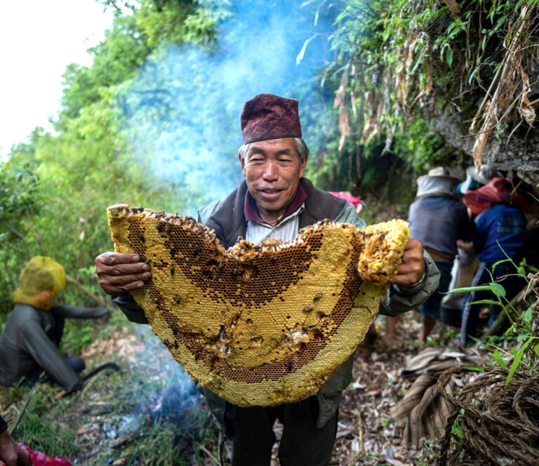 Honey Hunting in Nepal