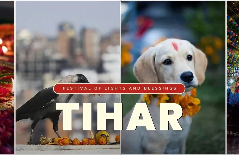 Tihar Festival