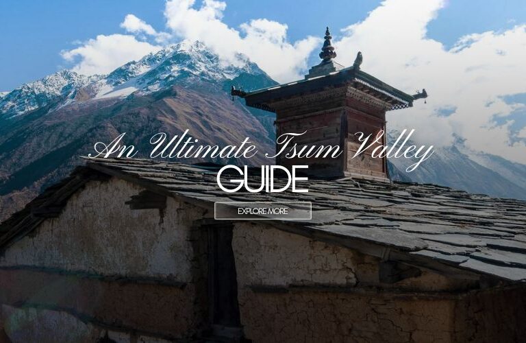An Ultimate Tsum Valley Guide