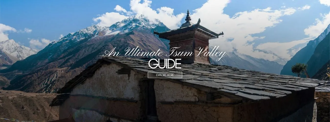 An Ultimate Tsum Valley Guide