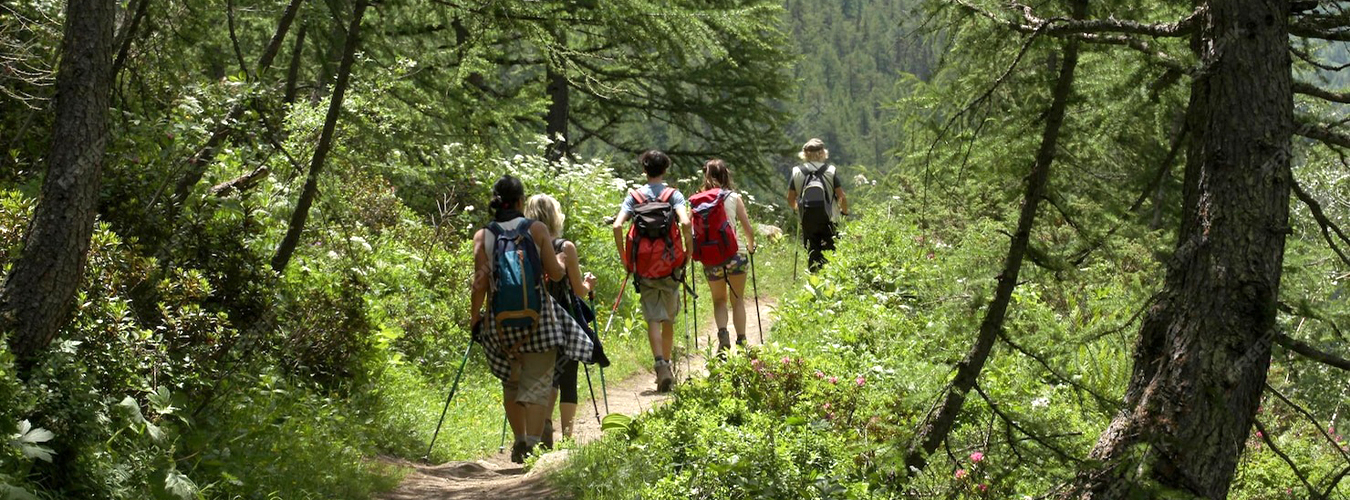 Hiking Tours