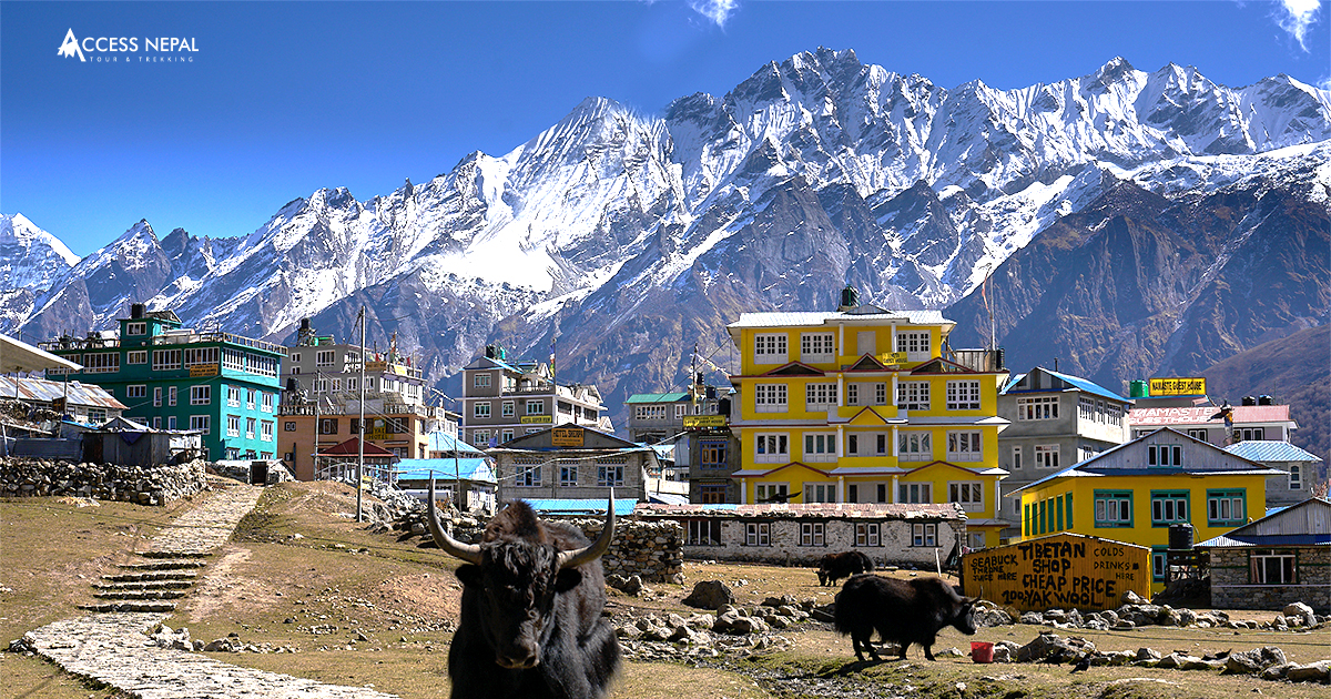 Langtang Valley Trek In January