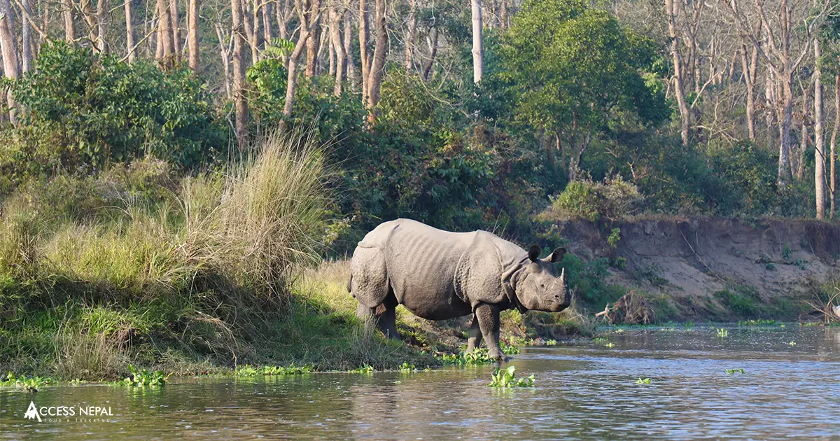 Chitwan National Park