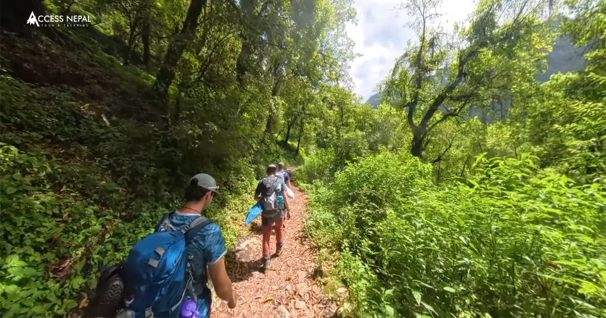 World Class Hiking in Nepal