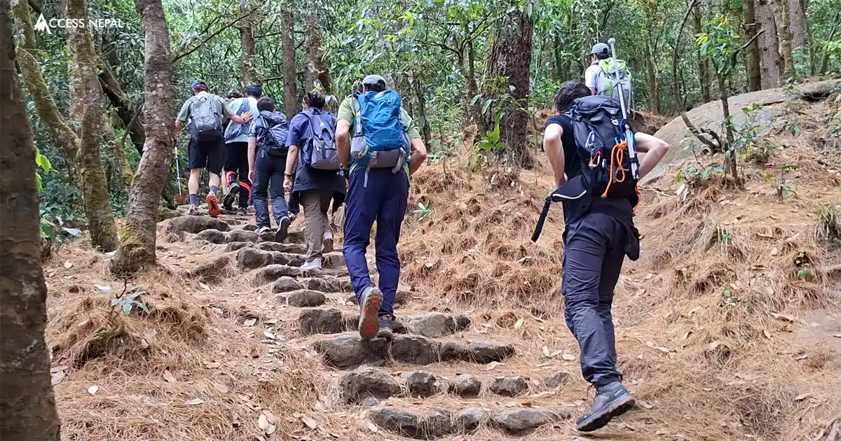 Shivapuri National Park Hiking