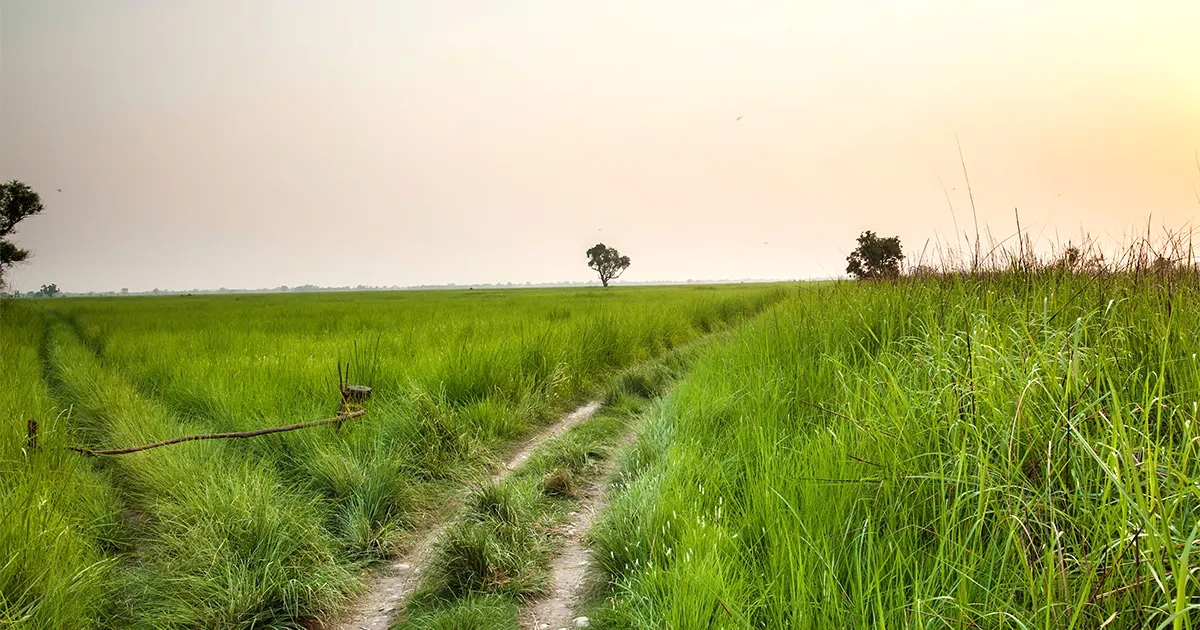 Shuklaphanta National Park