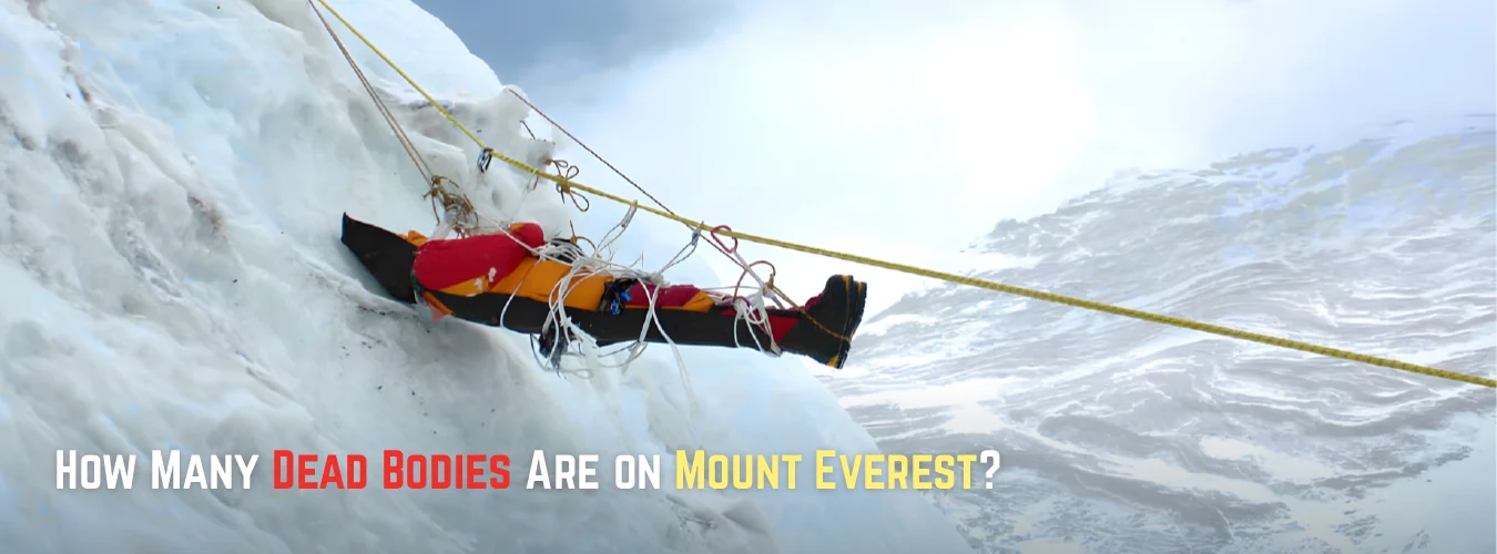 How Many Dead Bodies Are on Mount Everest?