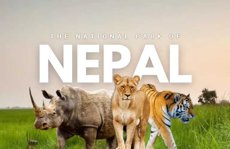 National Park of Nepal