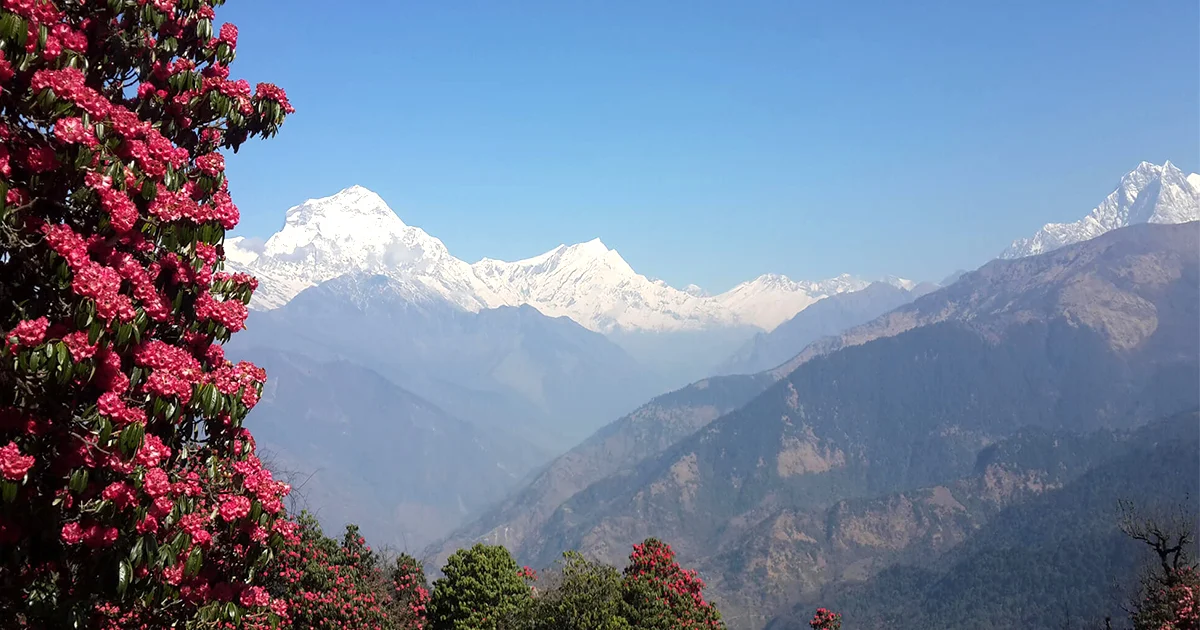 Everest Base Camp Trek