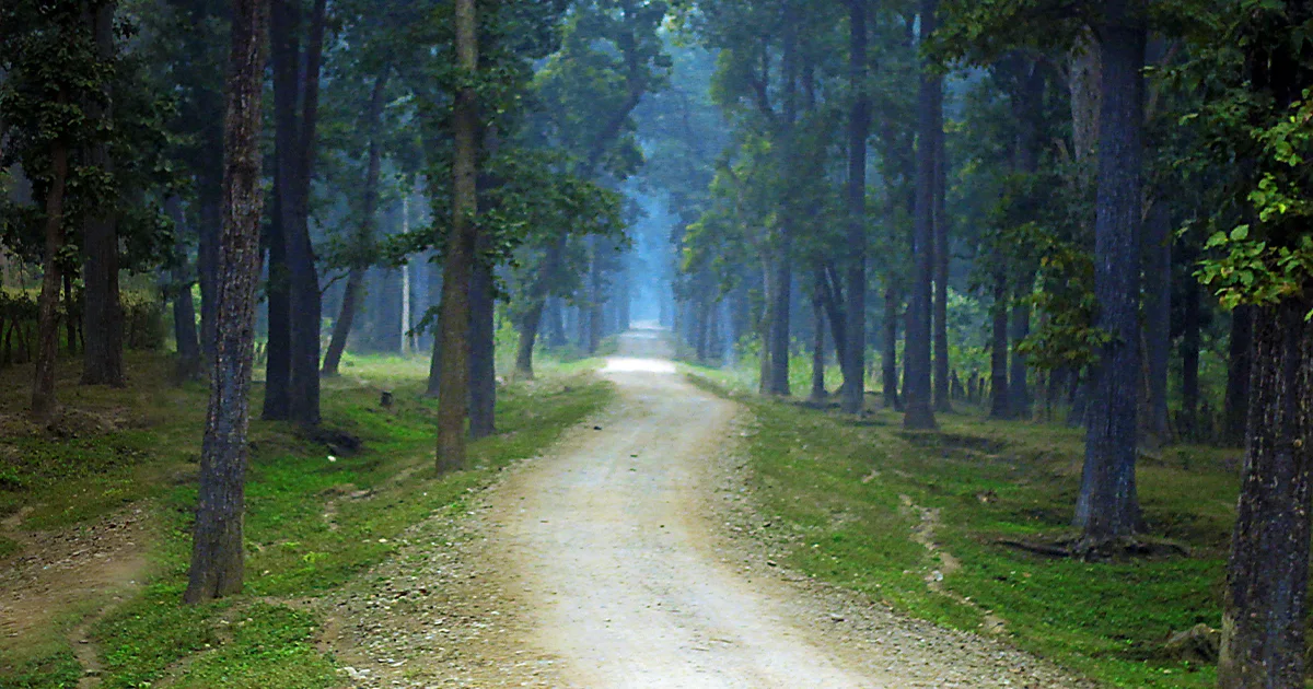 Bardia National Park