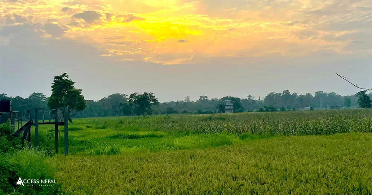 Chitwan National Park