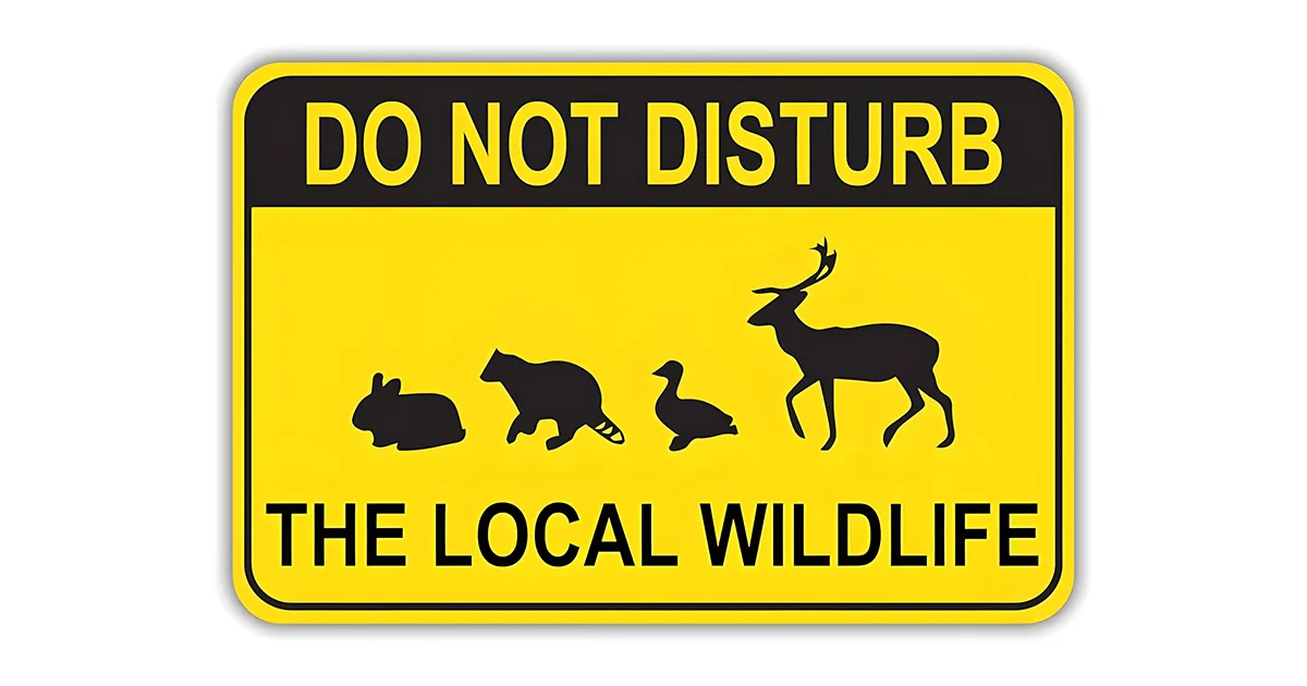 Don't disturb wildlife