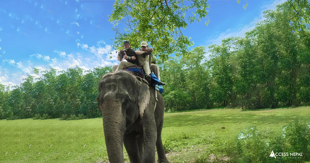 Chitwan Elephant Safari