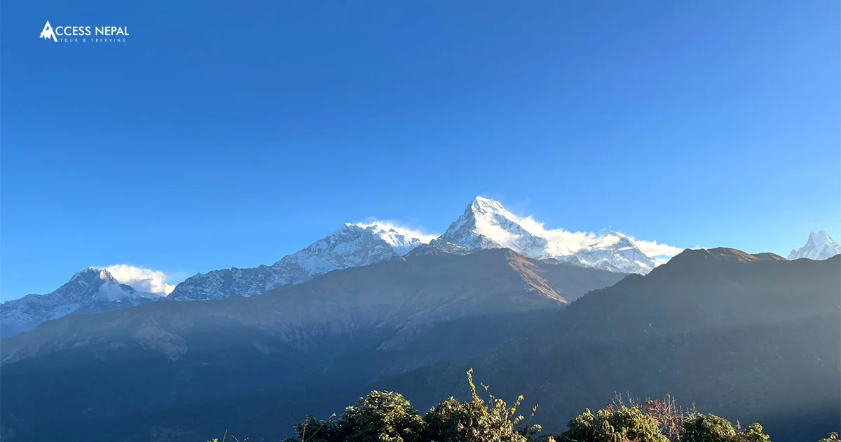 Ghorepani Poon Hill Trek