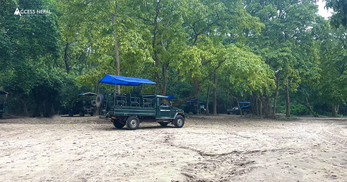 Chitwan Jungle Safari