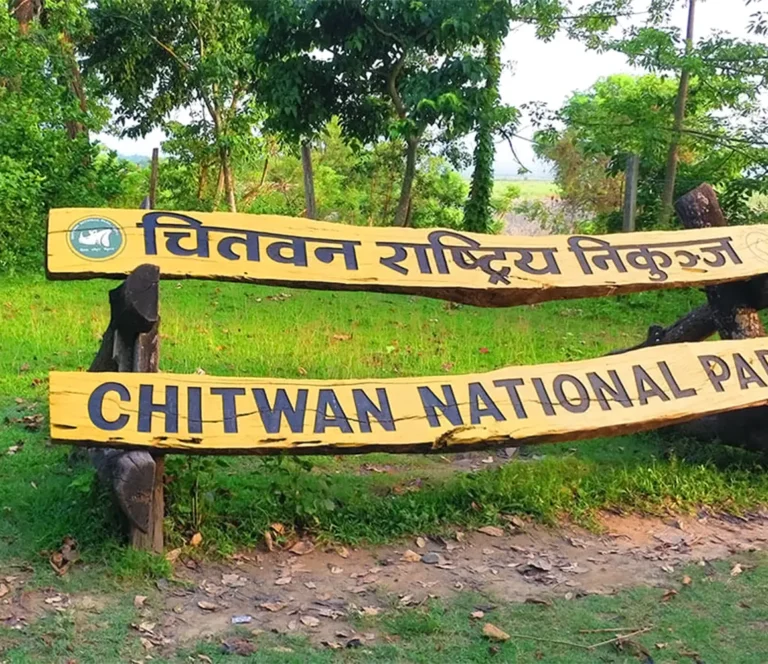 Guide to Chitwan National Park