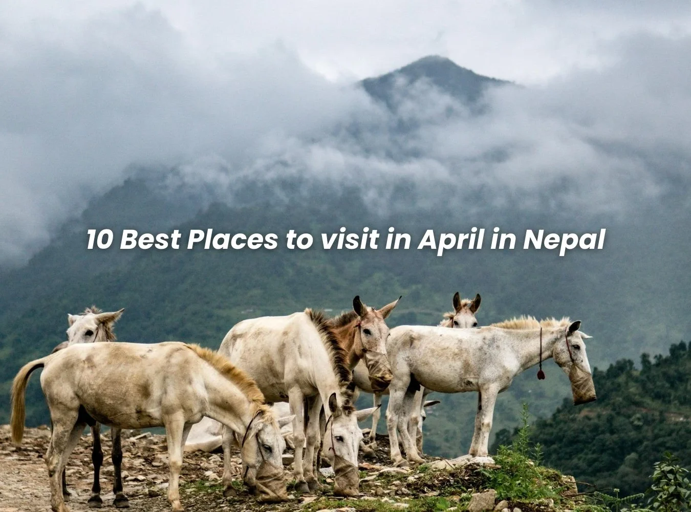 Places to visit in April