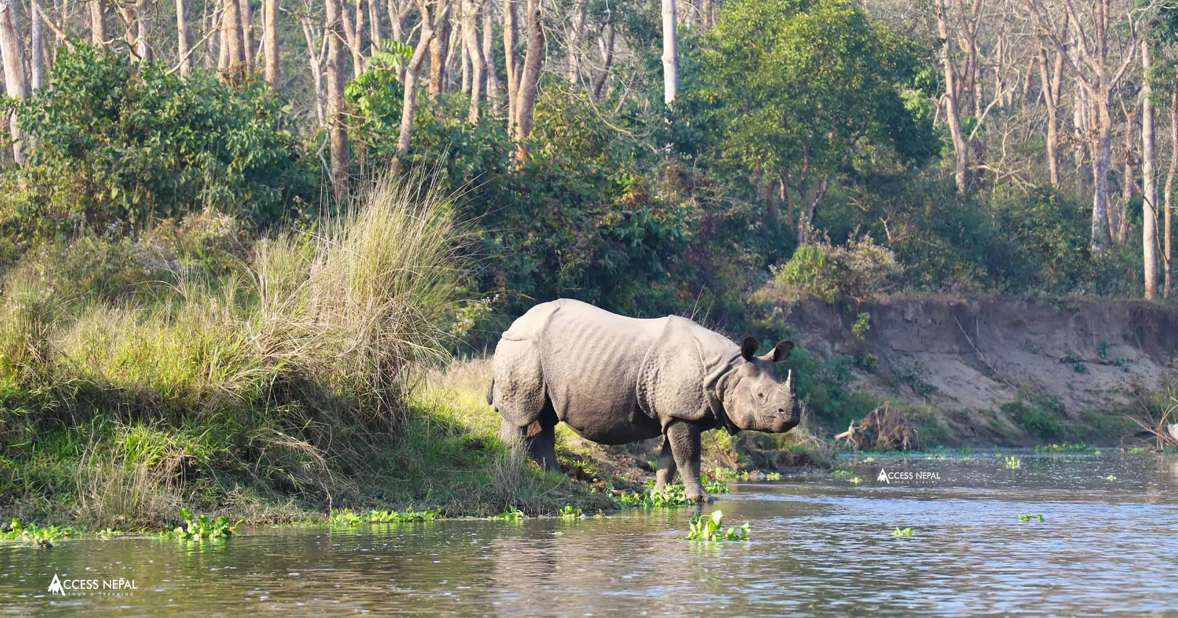 Bardiya National Park Tour