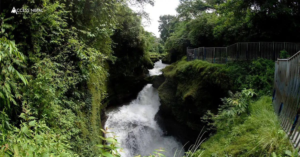 Davis Fall Locally known as the Patale Chhango, Davi's Fall is a ferocious waterfall.