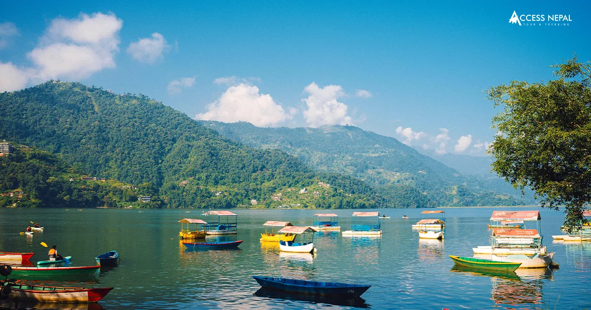 Phewa Lake