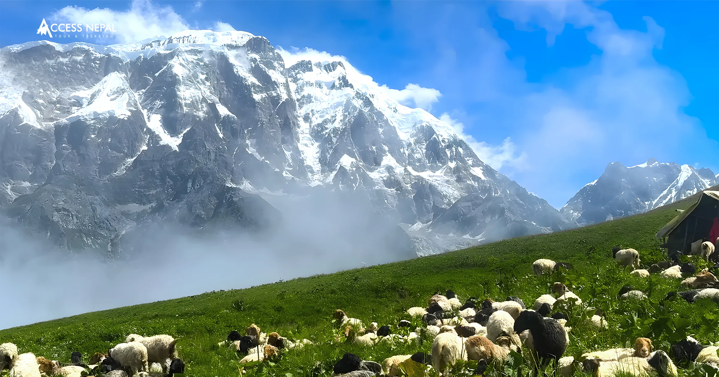Kori trek guide