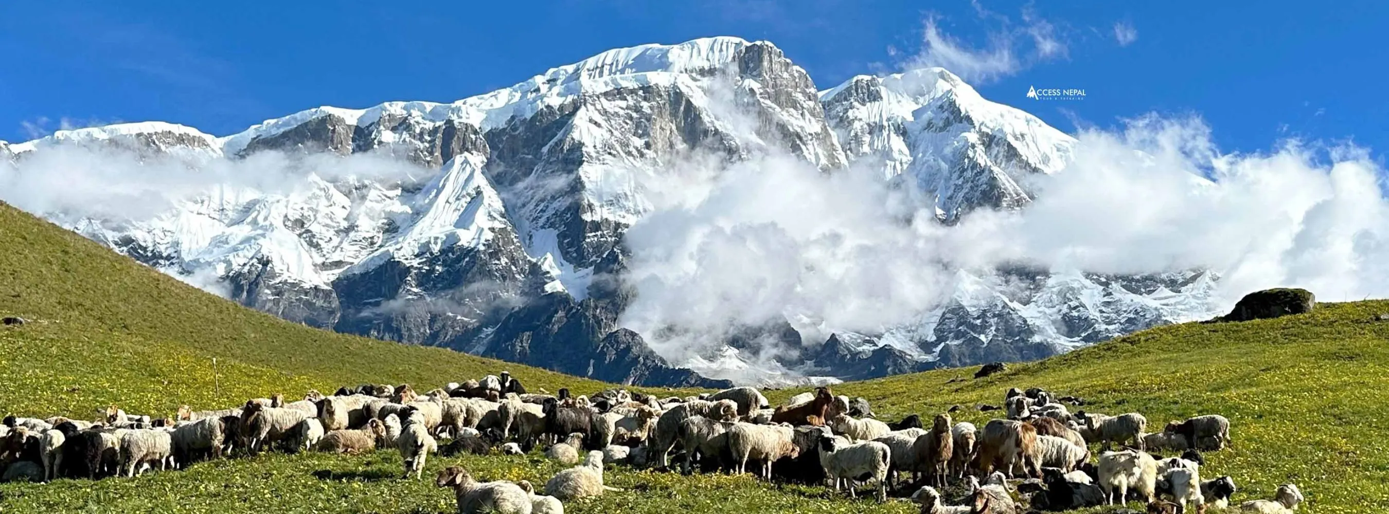 Kori Trek Guide