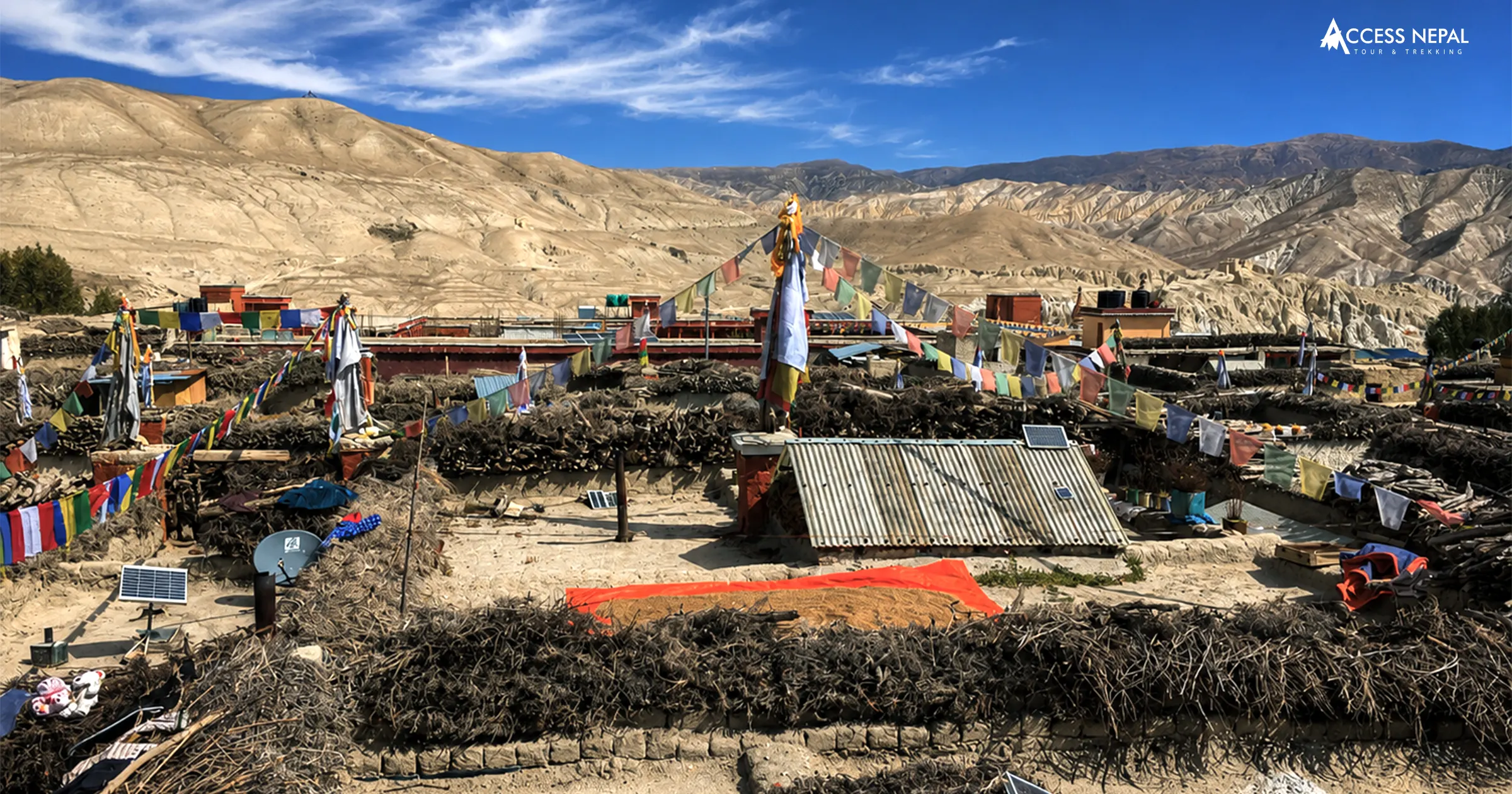 best view of Mustang
