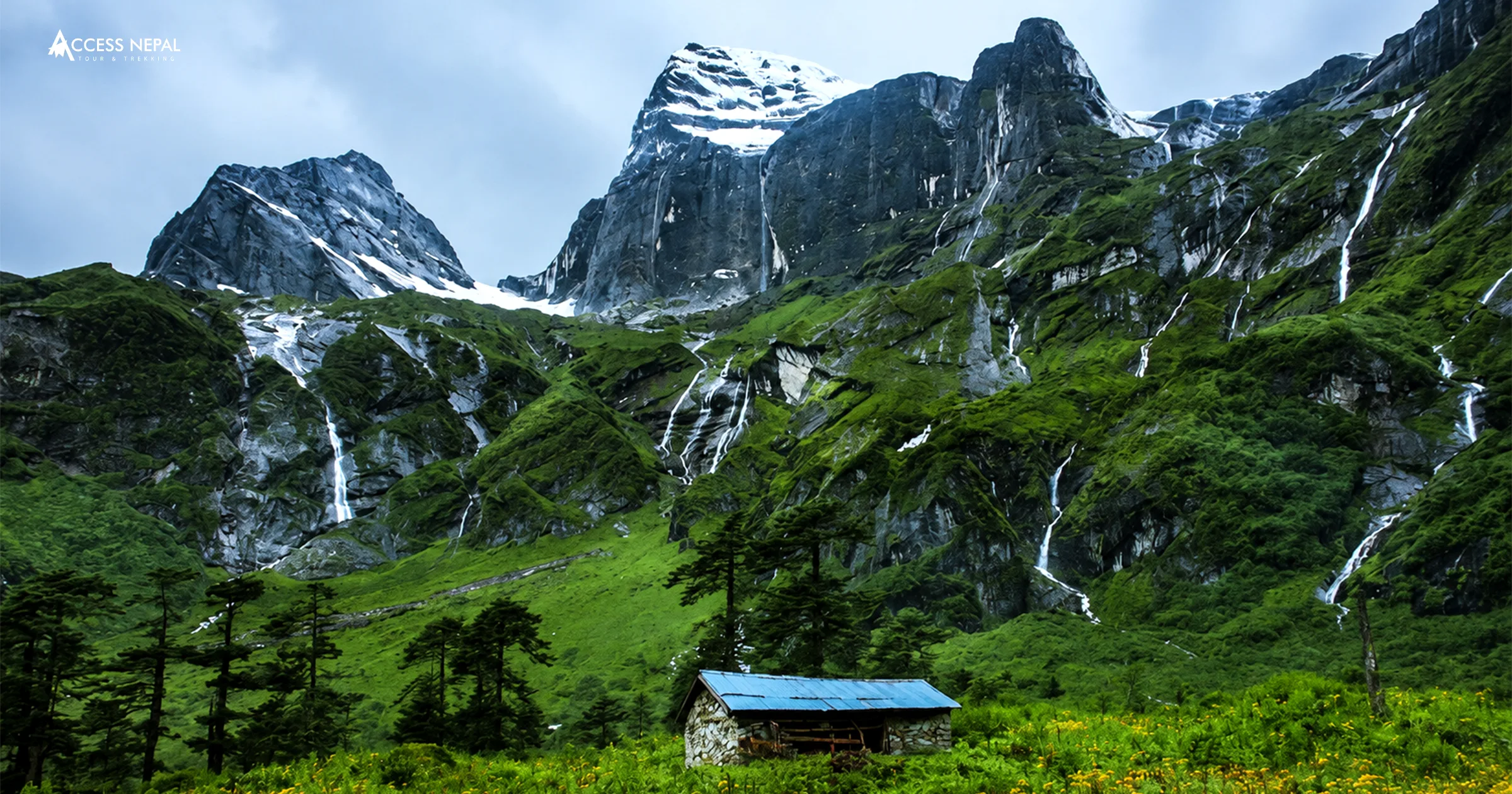 Flora and Fauna found in Barun Valley