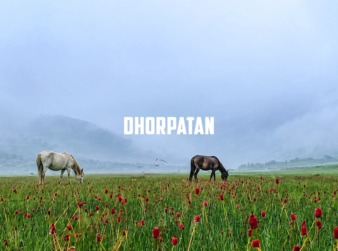 Dhorpatan Trek