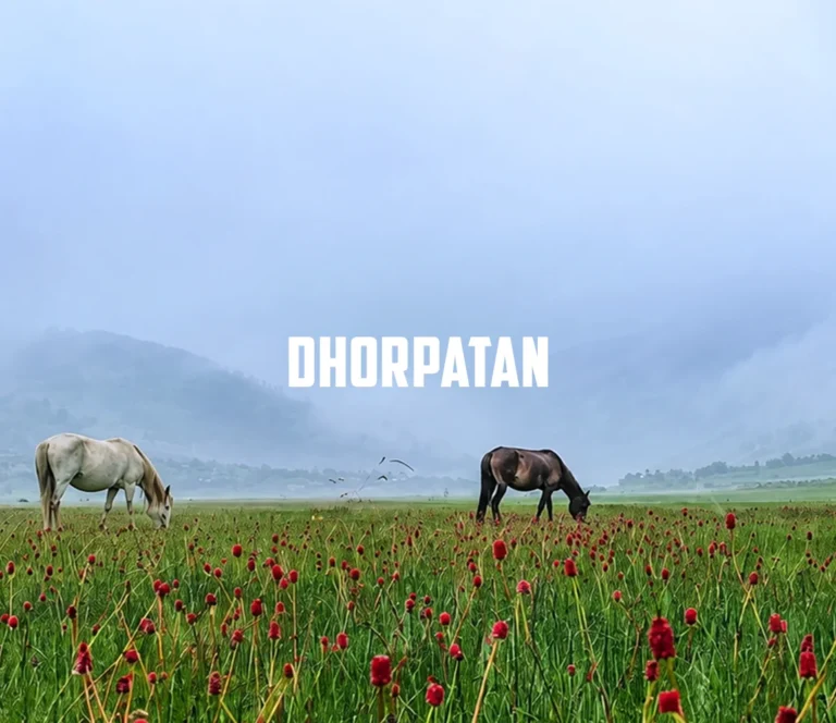 Trek Into Nepal’s Sole Hunting Reserve: The Dhorpatan Experience